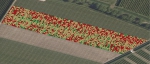 Automatische Precisie Fruitteelt via de Munckhof spuit levert fruitteler en voorlichter René Bal €3.400,- per hectare op